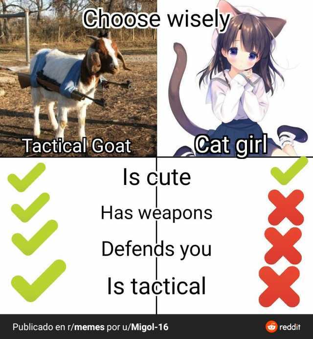 Choose wisely TacticalGoat Cat girl Is Cute Has wapons Defends you Is tactical Publicado en r/memes por u/Migol-16 reddit