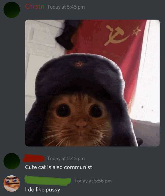 Chrstn Today at 545 pr Today at 545 pm Cute cat is also communist Today at 556 pm I do like pussy