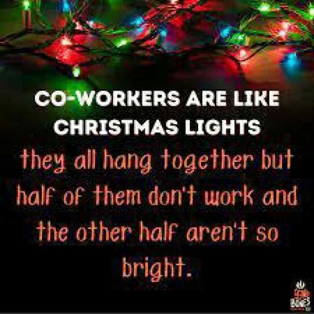 co-wORRERS ARE LIKE CHRISTMAS LIGHTs they all hang together but half of them dont work and the other half arent so bright.