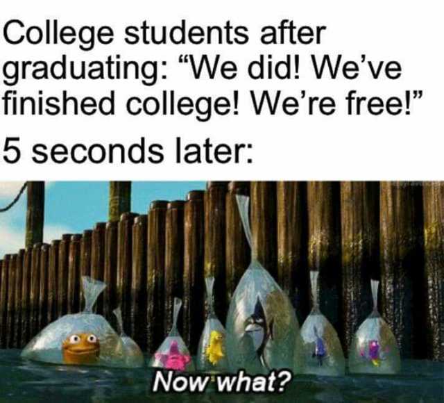 College students after graduating We did! Weve finished college! Were free! 5 seconds later Now what