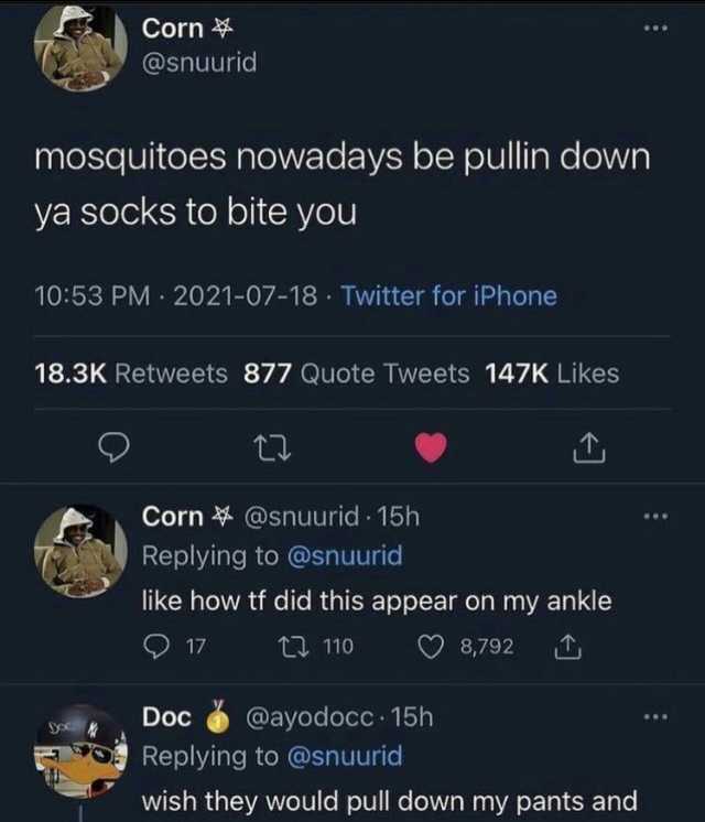 Corn 4 @snuurid mosquitoes nowadays be pullin down ya socks to bite you 1053 PM 2021-07-18 Twitter for iPhone 18.3K Retweets 877 Quote Tweets 147K Likes Corn@snuurid 15h Replying to @snuurid like how tf did this appear on my ankle