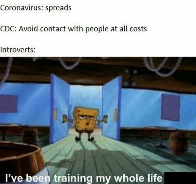 Coronavirus spreads CDC Avoid contact with people at all costs Introverts lve been training my whole life