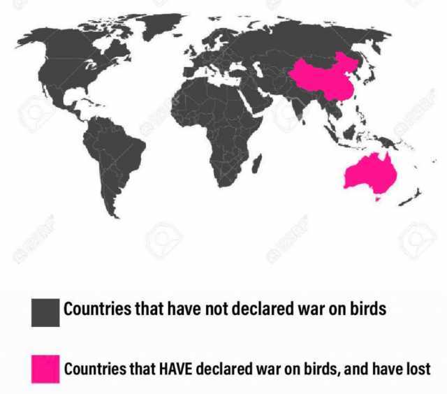 Countries that have not declared war on birds Countries that HAVE declared war on birds and have lost APERE 