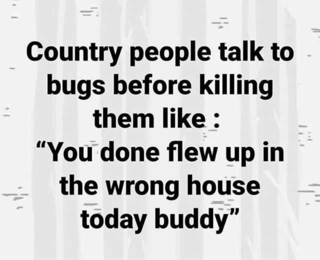 Country people talk to bugs before killing them like You done flew up in the wrong house today buddy