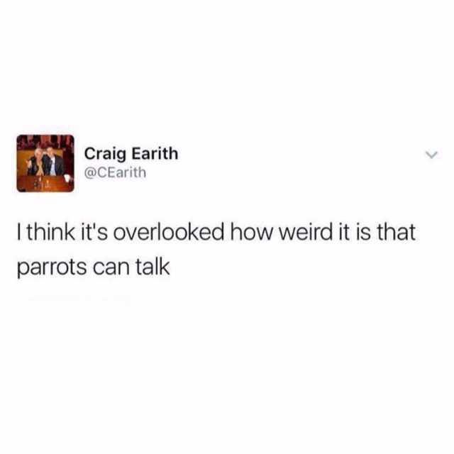 Craig Earith @CEarith I think its overlooked how weird it is that parrots can talk 