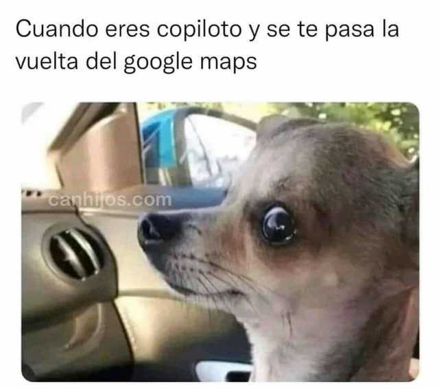 Cuando eres copiloto y se te pasa la vuelta del google maps canhijos.com