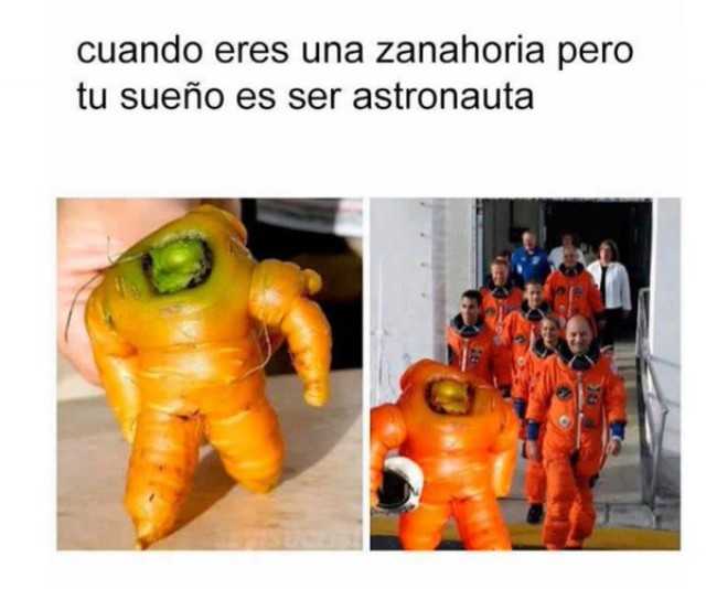 Cuando eres una zanahoria pero tu sueño es ser astronauta