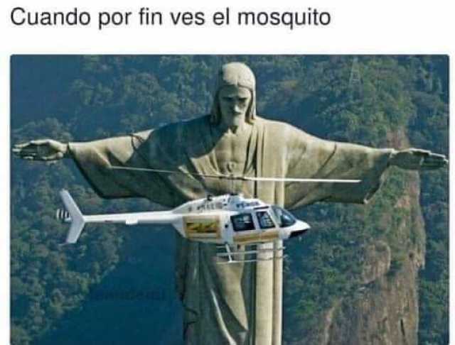 Cuando por fin ves el mosquito 
