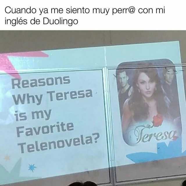 Cuando ya me siento muy perr@ con mi inglés de Duolingo Reasons Why Teresa is my Favoritee Telenovela er ese