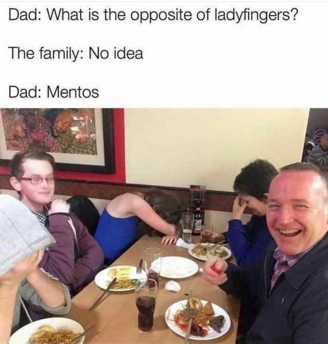 Dad What is the opposite of ladyfingers The family No idea Dad Mentos