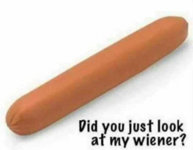 Did you just look af my wiener? 