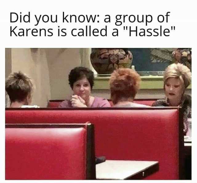 Did you know a group of Karens is called a Hassle