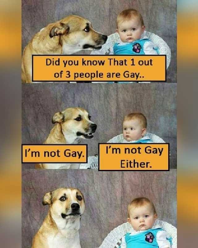 1 In 3 People Are Gay Meme