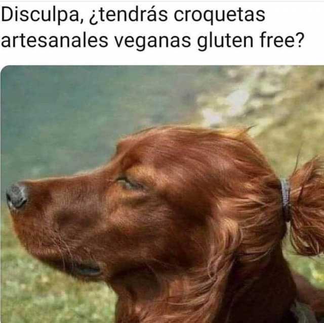 Disculpa ¿tendrás croquetas artesanales veganas gluten free? 