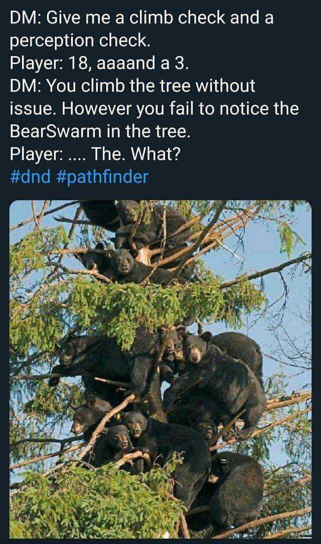 DM Give me a climb check and a perception check. Player 18 aaaand a 3. DM You climb the tree without issue. However you fail to notice the BearSwarm in the tree. Player. The. What #dnd #pathfinder