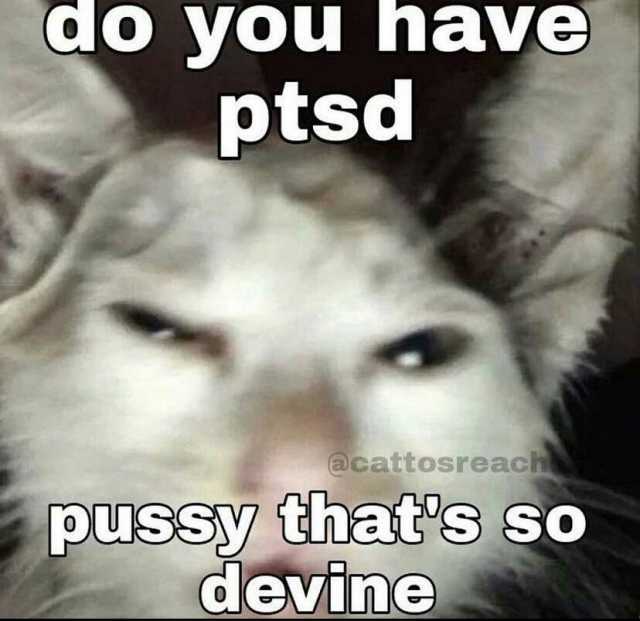 do you have ptsd @cattosreachn pussy thats so devine
