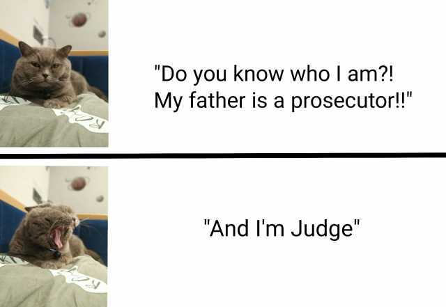 Do you know whol am! My father is a prosecutor! And Im Judge
