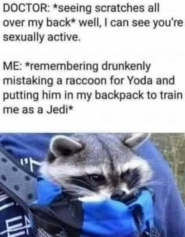 DOCTOR*seeing scratches all over my back* well I can see youre sexually active. ME remembering drunkenly mistaking a raccoon for Yoda and putting him in my backpack to train me as a Jedi*
