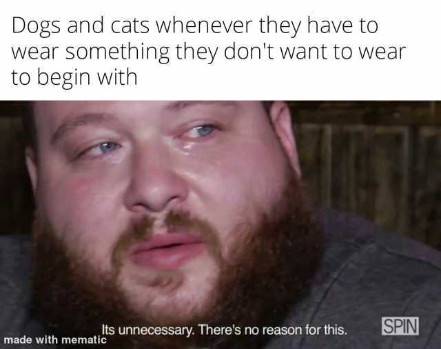 Dogs and cats whenever they have to wear something they dont want to wear to begin with made with mematic unnecessary. Theres no reason for this. SPIN