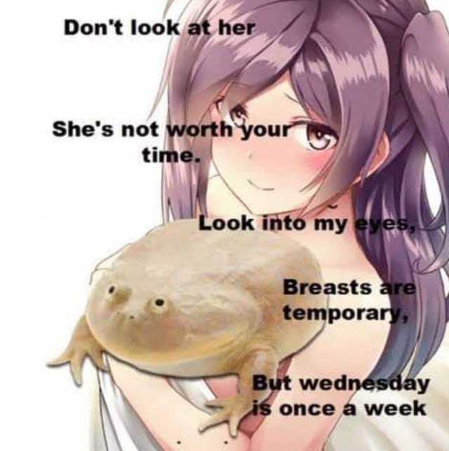 Dont look at her Shes not worth your time. Look into my eyes Breasts are temporary But wednesday is once a week 