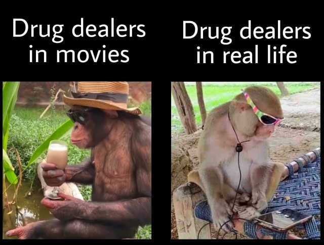 Drug dealers in movies Drug dealers in real life