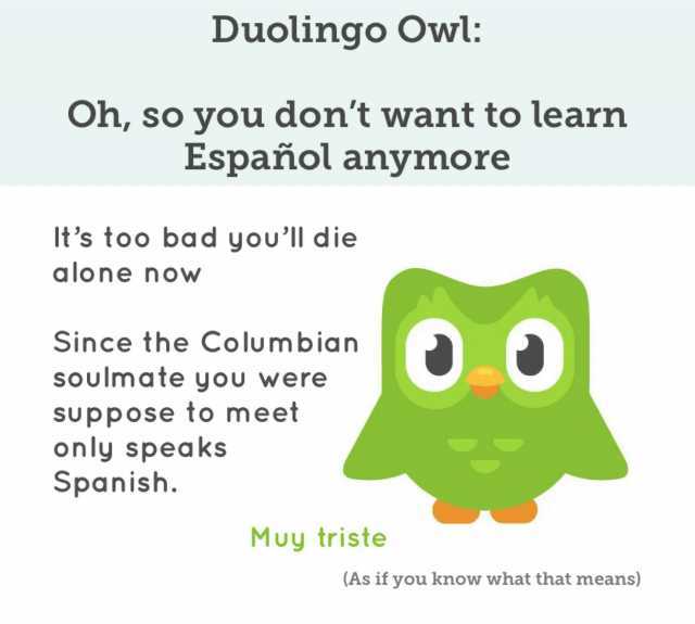 Duolingo Owl Oh so you dont want to learn Español anymore Its too bad youll die alone now O.0 Since the Columbian soulmate you were suppose to meet only speaks Spanish. Muy triste (As if you know what that means)