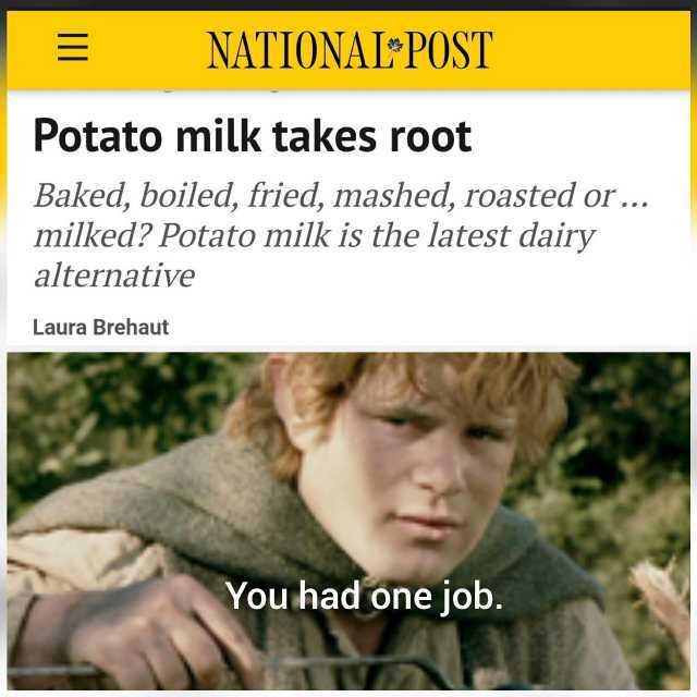 E NATIONAIPOST Potato milk takes root Baked boiled fried mashed roasted or... milked Potato milk is the latest dairy alternative Laura Brehaut You had one job.