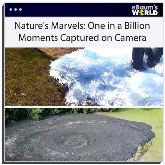 eBaums WRLD Natures Marvels One ina Billion Moments Captured on Camera