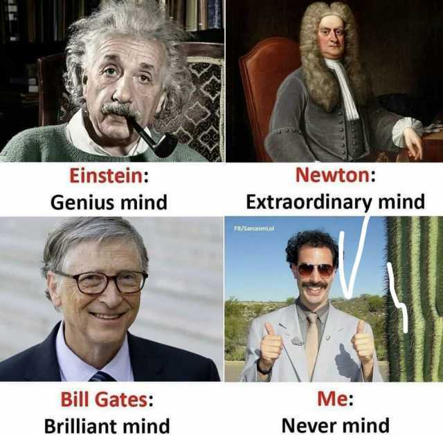 Einstein Newton Genius mind Extraordinary mind FB/SarcasmLol Bill Gates Me Brilliant mind Never mind