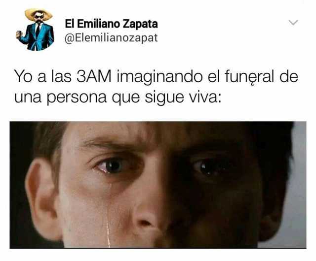 El Emiliano Zapata @Elemilianozapat Yo a las 3AM imaginando el funęral de una persona que sigue vva