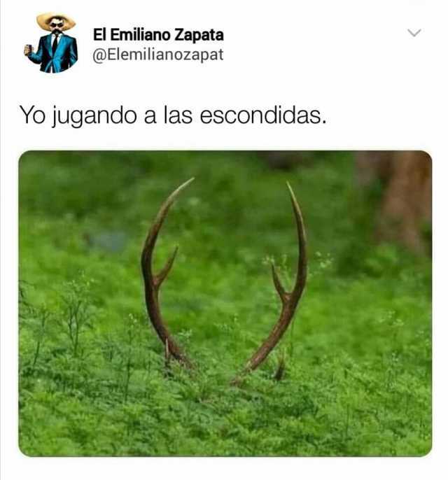 El Emiliano Zapata @Elemilianozapat Yo jugando a las escondidas.