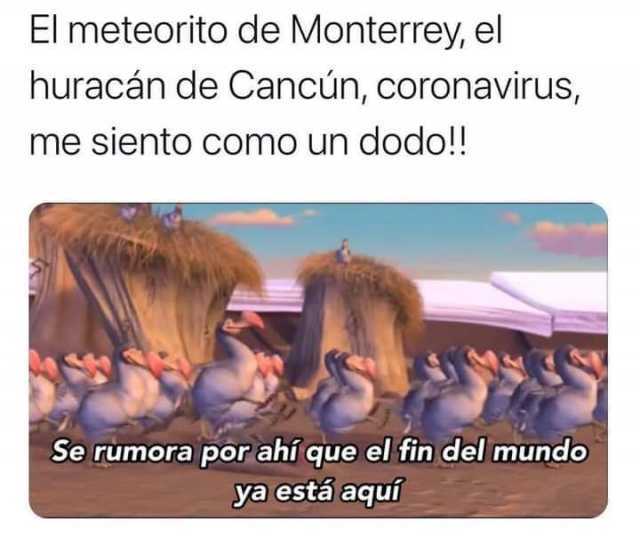 El meteorito de Monterrey el huracán de Cancún coronavirus me siento como un dodo!! Se rumora por ahí que el fin del mundo ya está aquí 