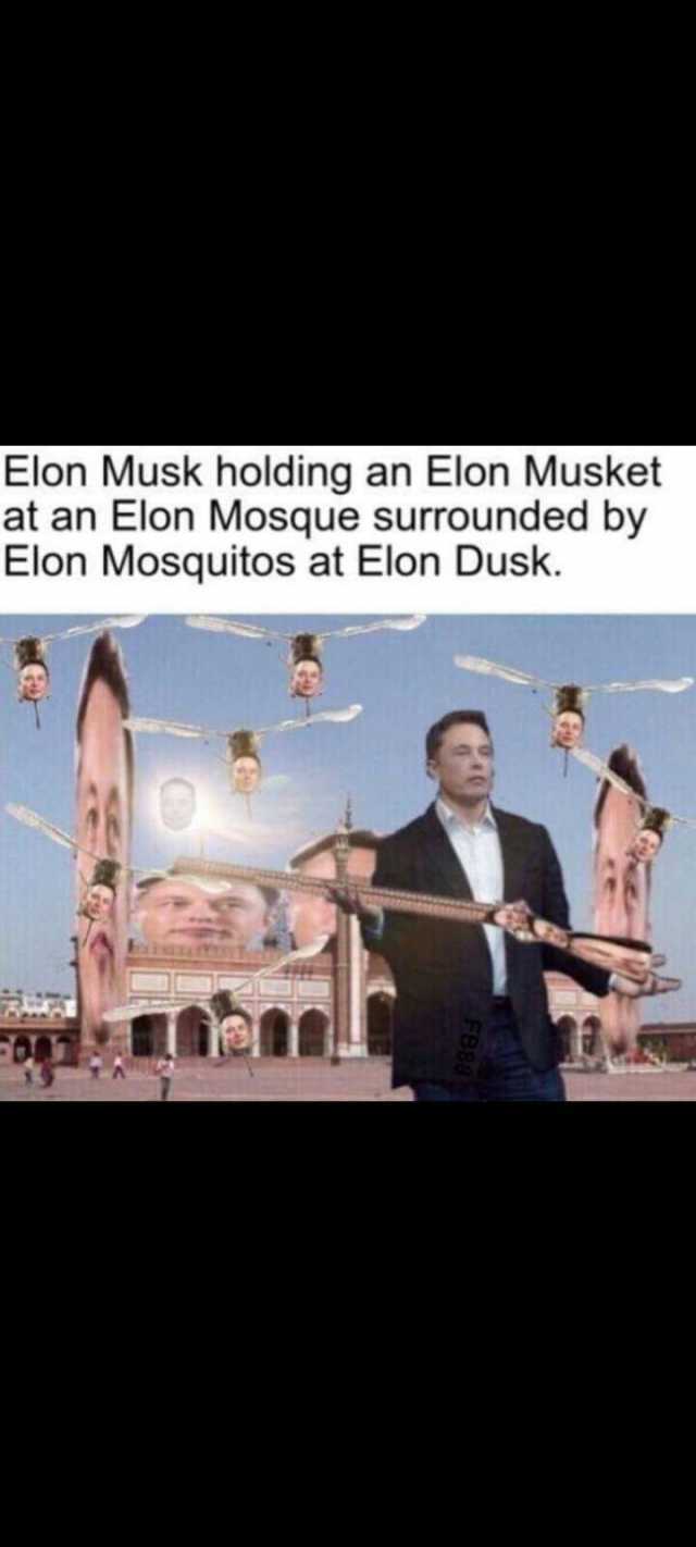 Elon Musk holding an Elon Musket at an Elon Mosque surrounded by Elon Mosquitos at Elon Dusk.