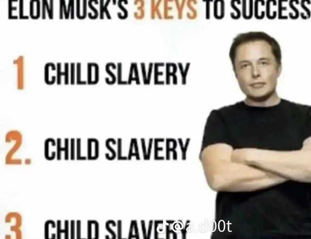 ELON MUSKS 3 KEYS TO SUCCESS 1 CHILD SLAVERY 2. CHILD SLAVERY 3 CHILD SLAVERYot