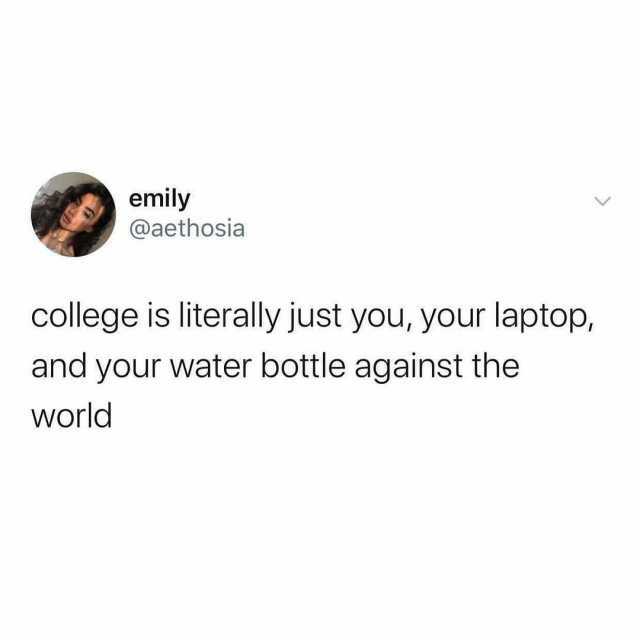 emily @aethosia college is literally just you your laptop and your water bottle against the World