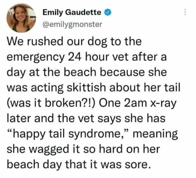 Emily Gaudette @emilygmonster We rushed our dog to the emergency 24 hour vet after a day at the beach because she was acting skittish about her tail (was it broken!) One 2am x-ray later and the vet says she has happy tail syndrome