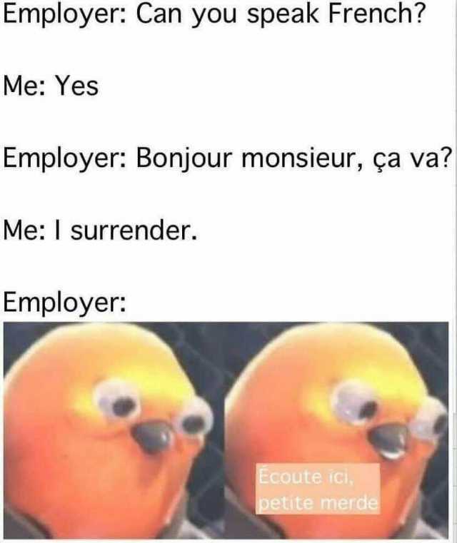 Employer Can you speak French Me Yes Employer Bonjour monsieur ça va Me I surrender. Employer Ecoute ICl petite merde