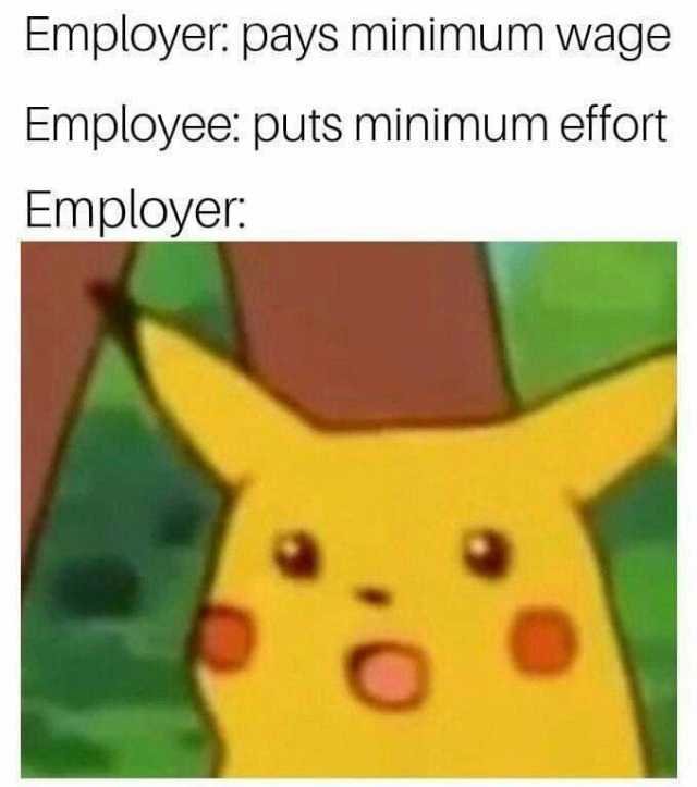 Employer. pays minimum wage Employee puts minimum effort Employear