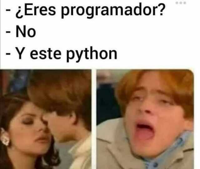 -Eres programador - No - Y este python