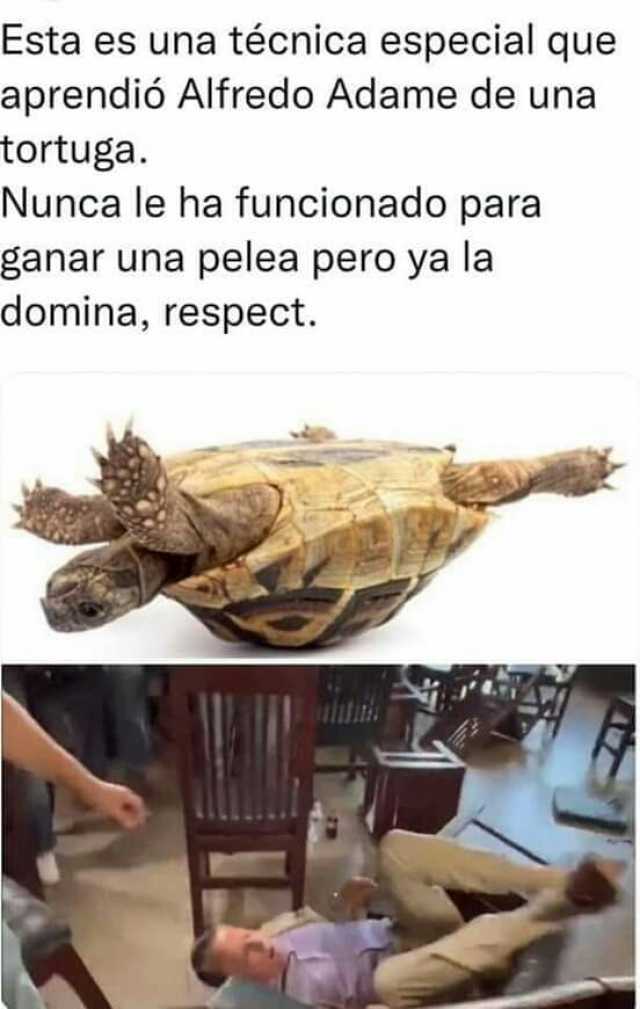 Esta es una técnica especial que aprendió Alfredo Adame de una tortuga. Nunca le ha funcionado para ganar una pelea pero ya la domina respect. ulitith