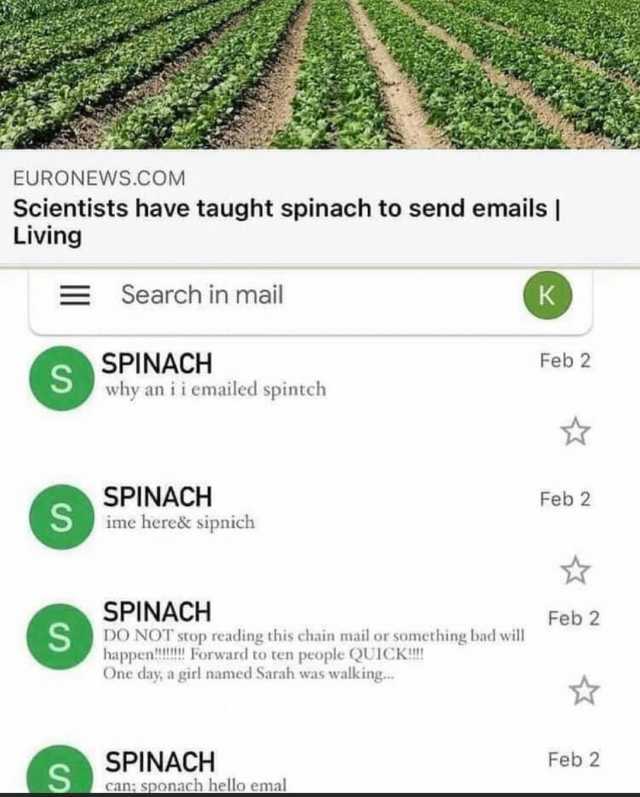 EURONEWS.COM Scientists have taught spinach to send emails  Living ESearch in mail S SPINACHH why an iiemailed spintch Feb 2 SPINACH Feb 2 ime here& sipnich SPINACH DO NOT stop reading this chain mail or something bad will happen!