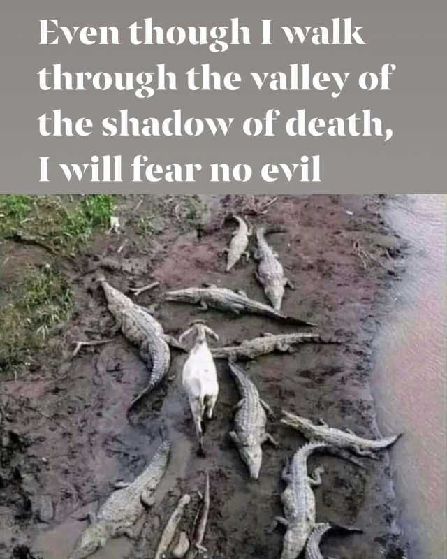 Even though I walk through the valley of the shadow of death I will fear no evil