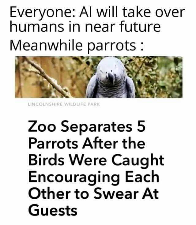 Everyone Al will take over humans in near future Meanwhile parrots LINCOLNSHIRE WILDLIFE PARK Zoo Separates 5 Parrots After the Birds Were Caught Encouraging Each Other to Swear At Guests