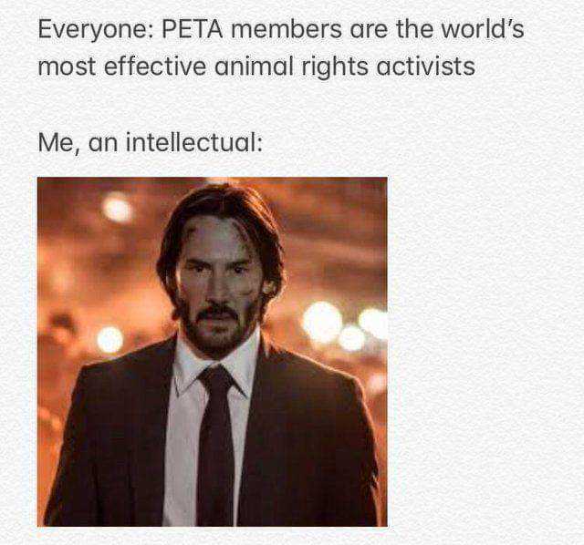 Everyone PETA members are the worlds most effective animal rights activists  Me an intellectual 