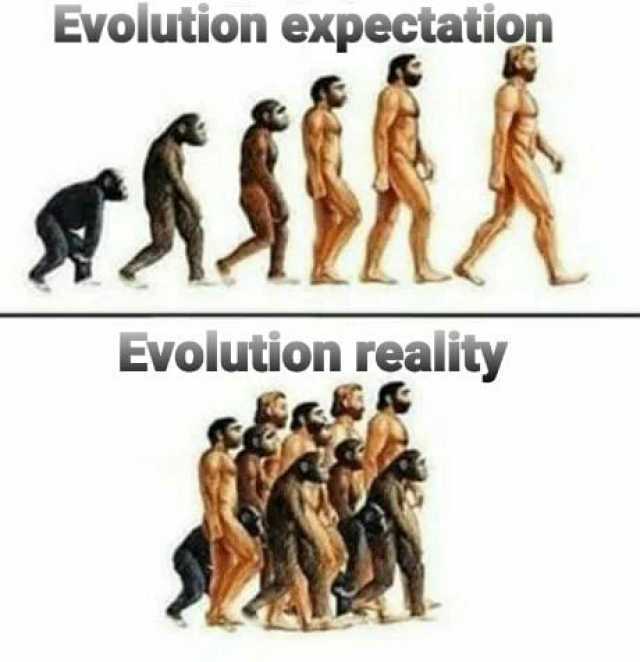 Evolution expectation Evolution reality