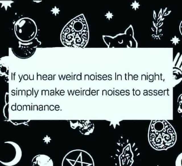 f you hear weird noises In the night simply make weirder noises to assert (dominance.