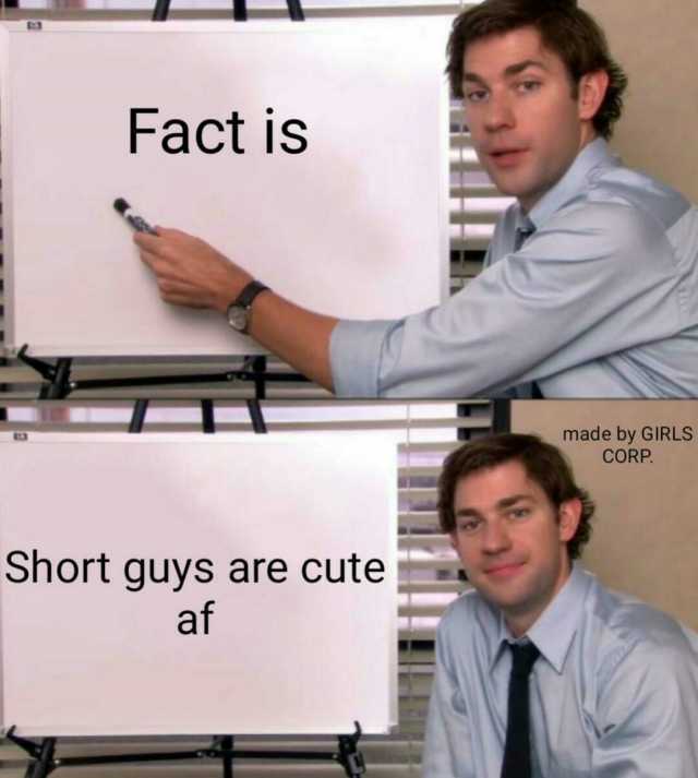 Fact is made by GIRLS CORP. Short guys are cute af