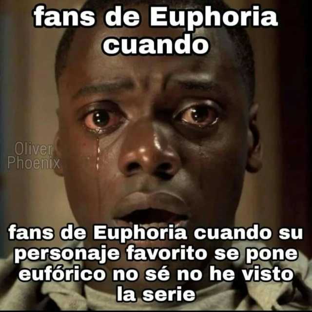 fans de Euphoria Cuando Olive PhoenixX fans de Euphoria cuando su personaje favorito se pone eufórico no sé no he visto la serie