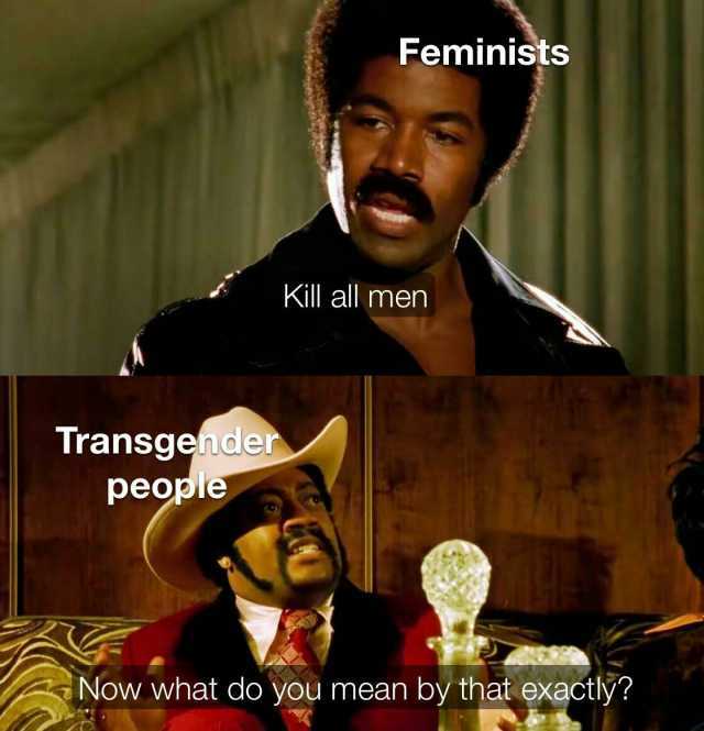 Feminists Kill all men Transgender people Now what do you mean by that exactly