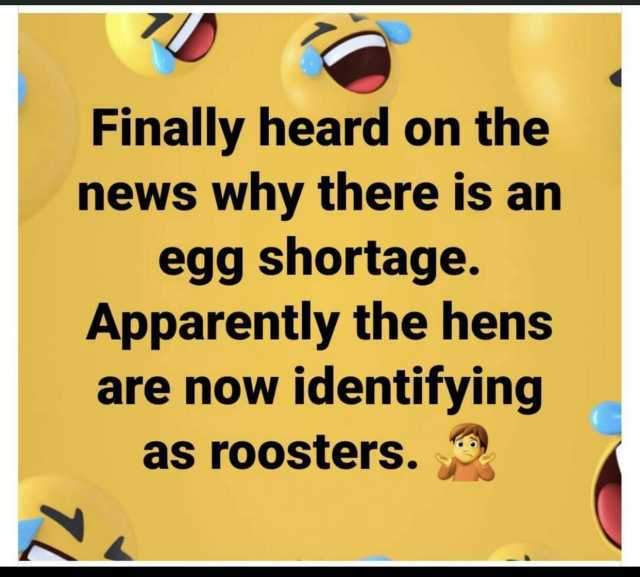 Finally heard on the news why there is an egg shortage. Apparently the hens are now identifying as roosters.